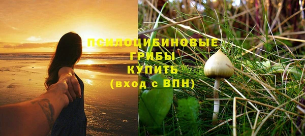 винт Абаза