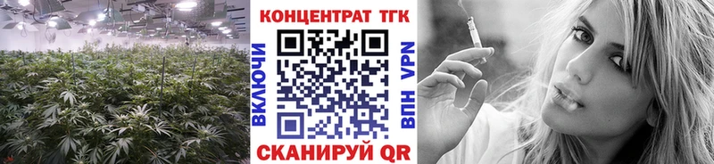 ТГК Wax  Сухиничи 