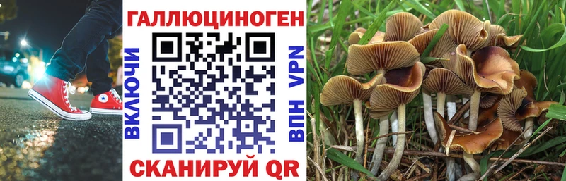 Галлюциногенные грибы мухоморы  что такое наркотик  Сухиничи 